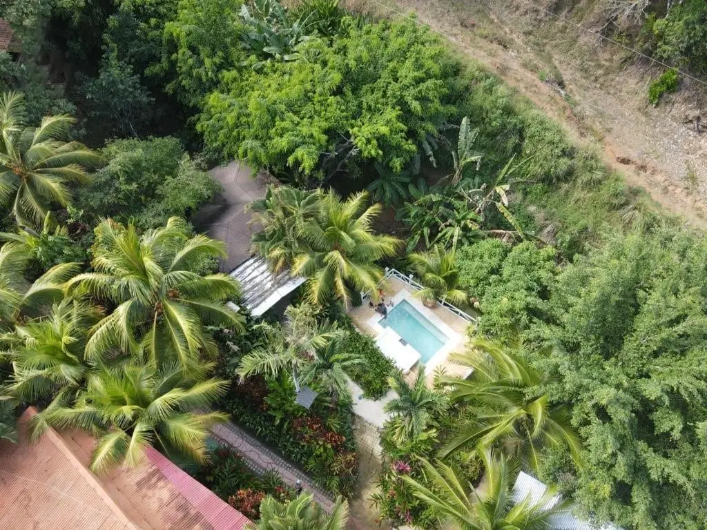 Turnkey Business in Montezuma photo 2