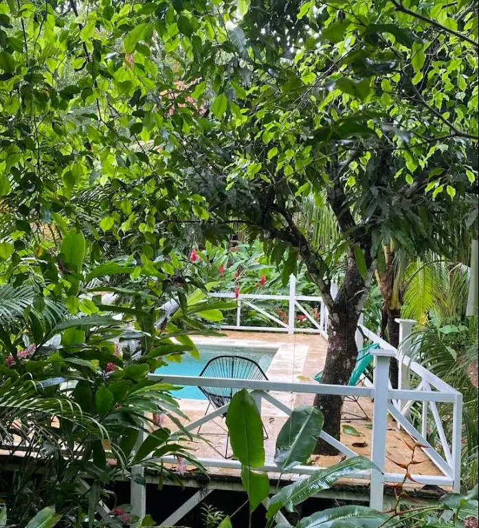 Turnkey Business in Montezuma photo 8