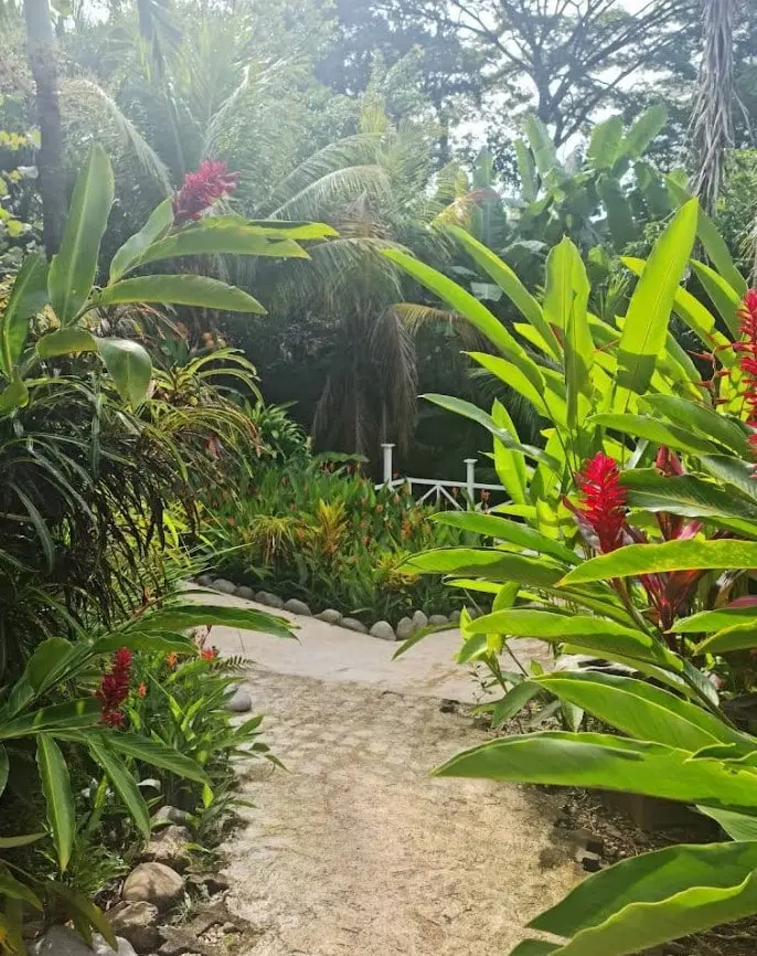 Turnkey Business in Montezuma photo 44