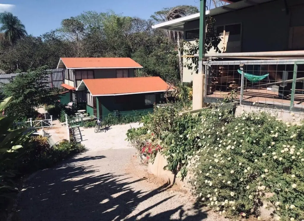 Turnkey Business in Montezuma photo 4