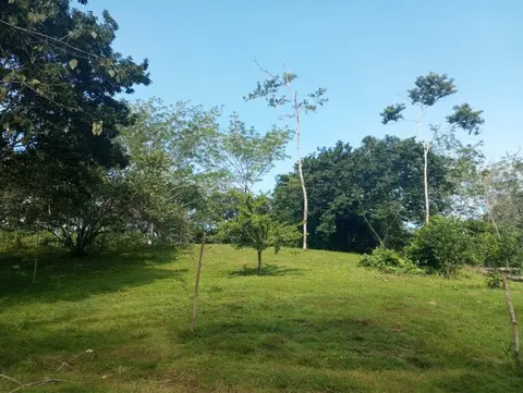 1-Hectare Lots Close to Montezuma in Montezuma, Costa Rica