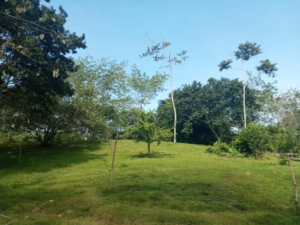 1-Hectare Lots Close to Montezuma photo 1