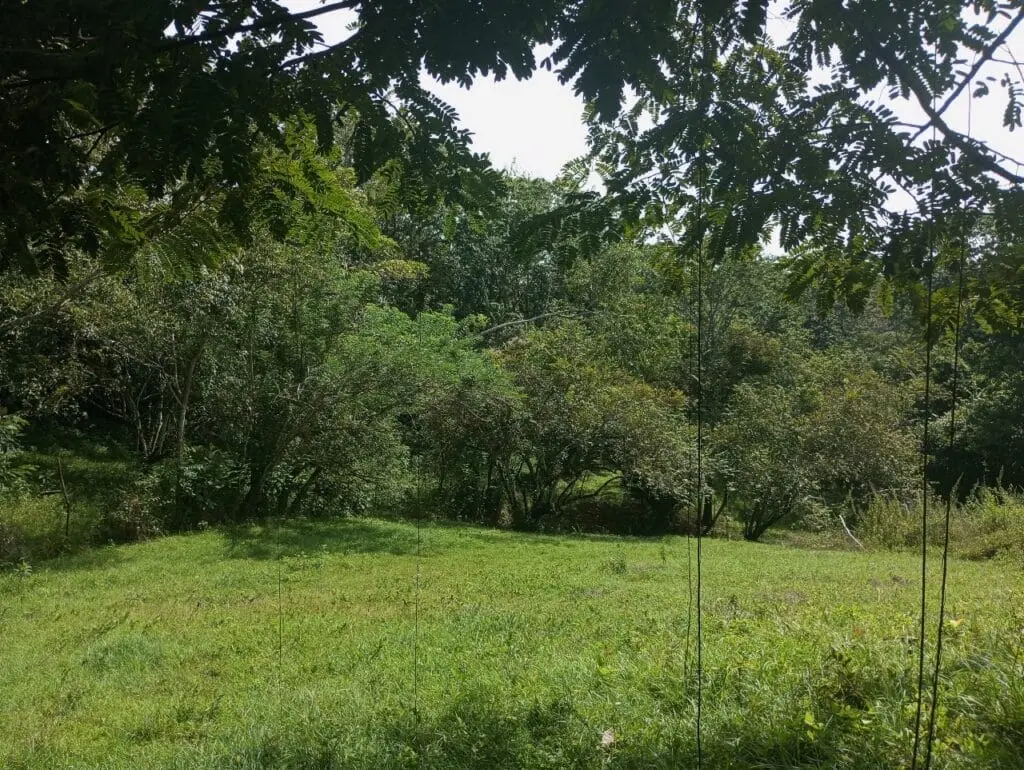 1-Hectare Lots Close to Montezuma photo 2
