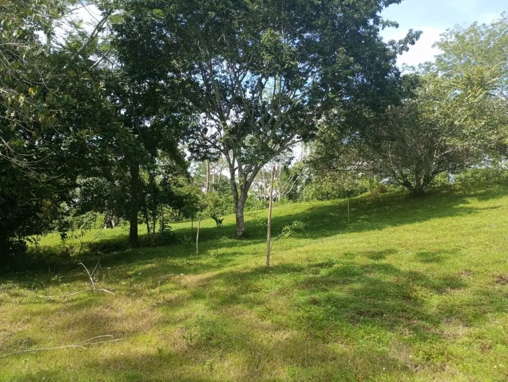 1-Hectare Lots Close to Montezuma photo 3
