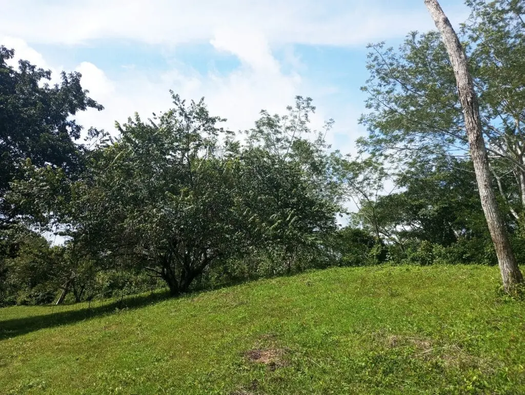 1-Hectare Lots Close to Montezuma photo 5