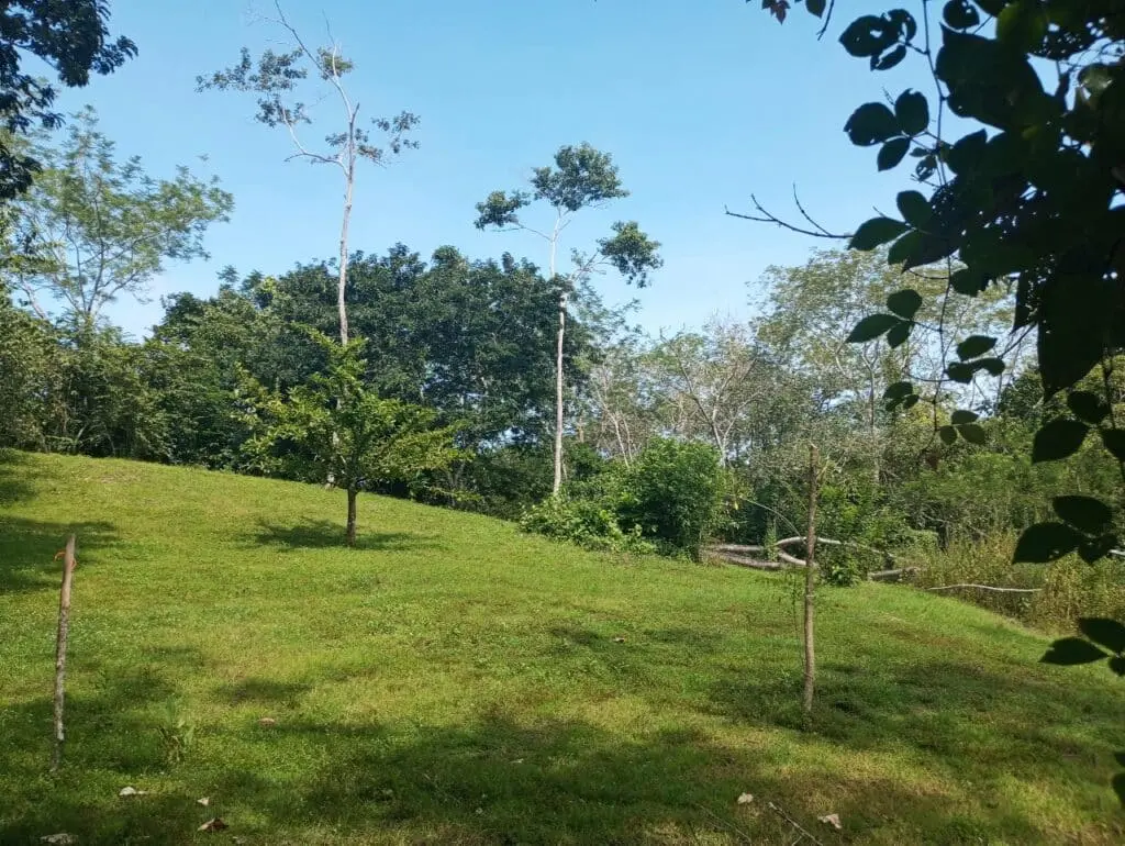 1-Hectare Lots Close to Montezuma photo 7
