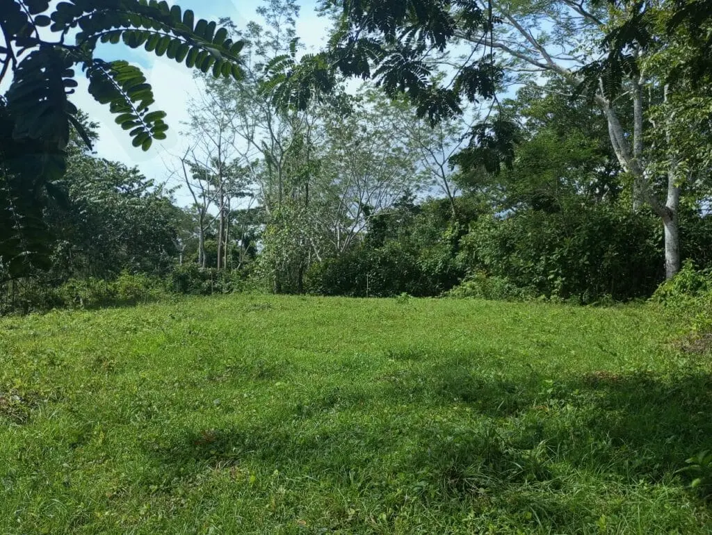 1-Hectare Lots Close to Montezuma photo 9