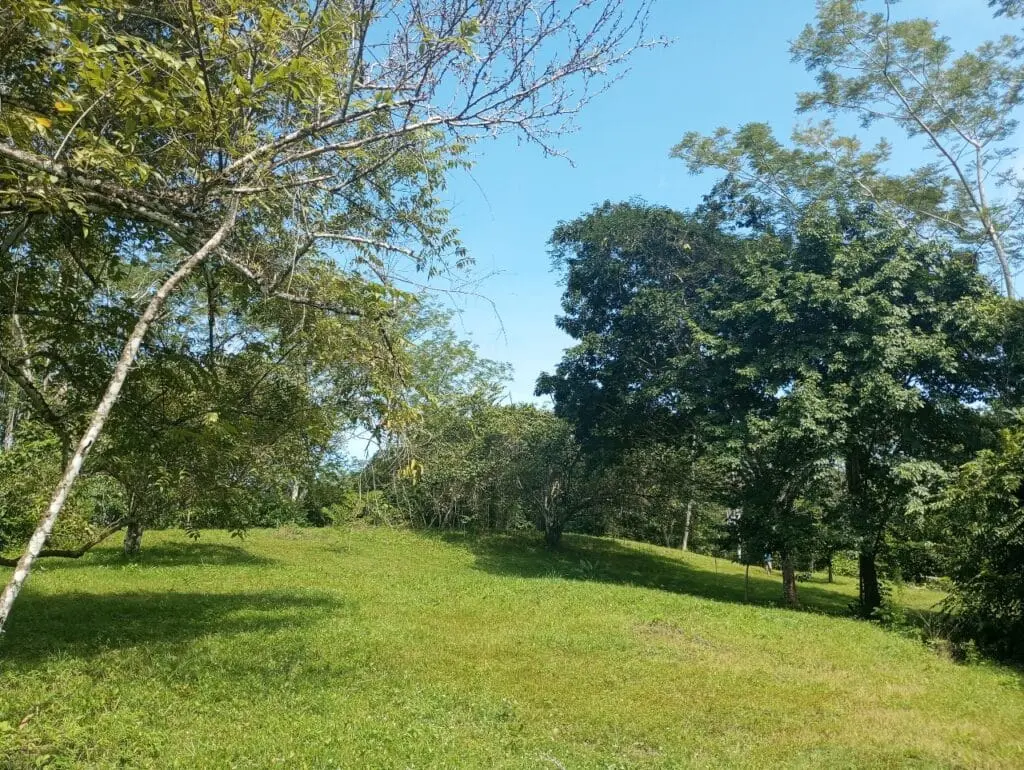 1-Hectare Lots Close to Montezuma photo 11