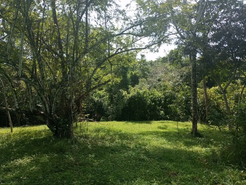 1-Hectare Lots Close to Montezuma photo 12