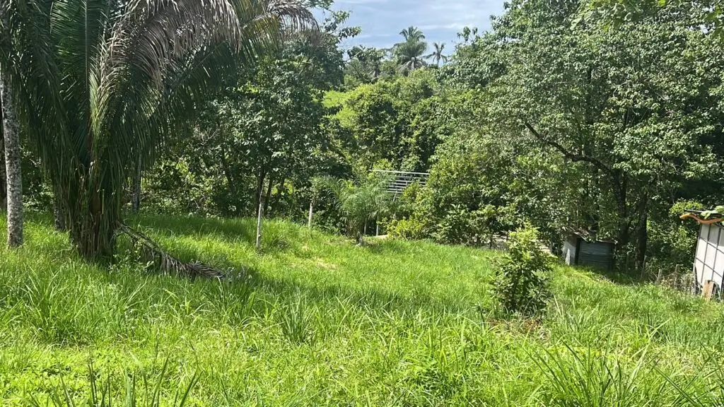 Prime Lot Near Montezuma Beach photo 2