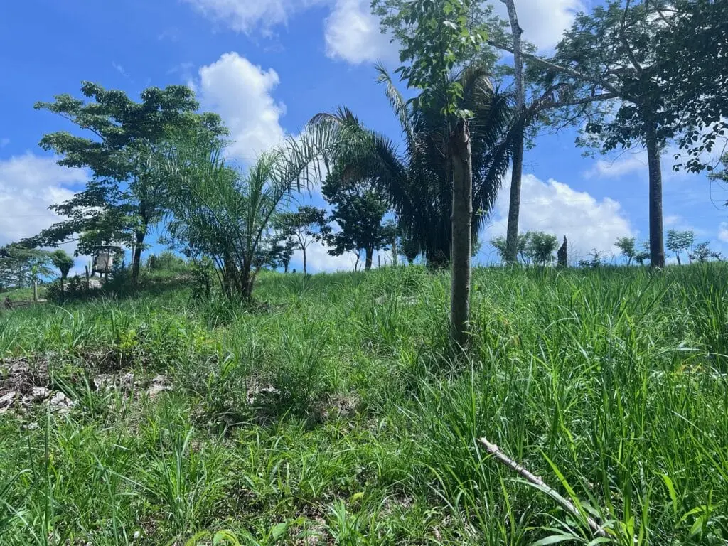 Prime Lot Near Montezuma Beach photo 12