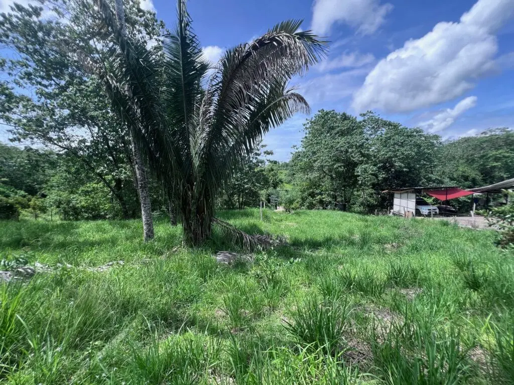 Prime Lot Near Montezuma Beach photo 1