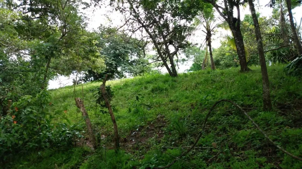 Serene Montezuma Lot for Sale photo 11