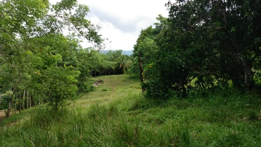 Serene Montezuma Lot for Sale photo 10