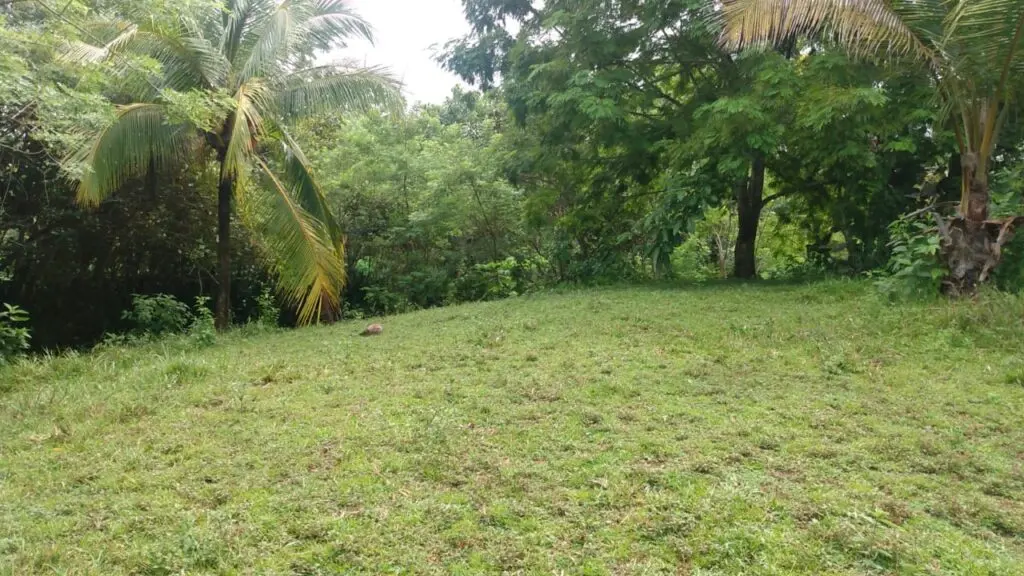 Serene Montezuma Lot for Sale photo 4