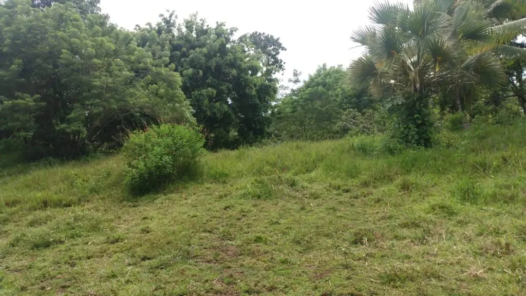 Serene Montezuma Lot for Sale photo 5