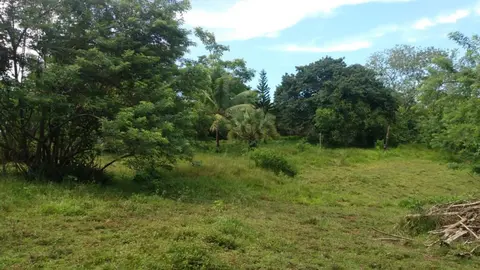 Serene Montezuma Lot for Sale in Montezuma, Costa Rica