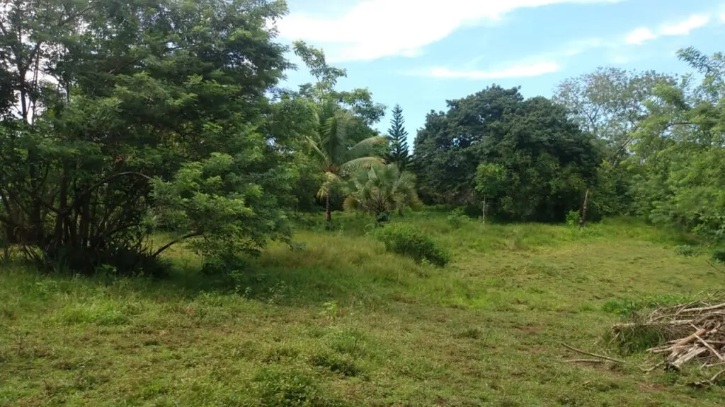Serene Montezuma Lot for Sale photo 1