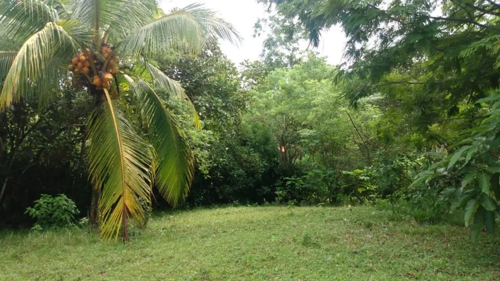 Serene Montezuma Lot for Sale photo 2