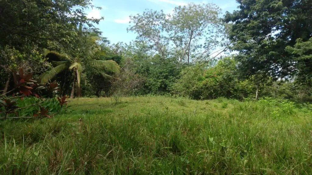 Serene Montezuma Lot for Sale photo 7