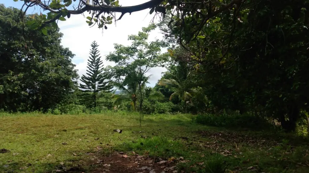 Serene Montezuma Lot for Sale photo 8