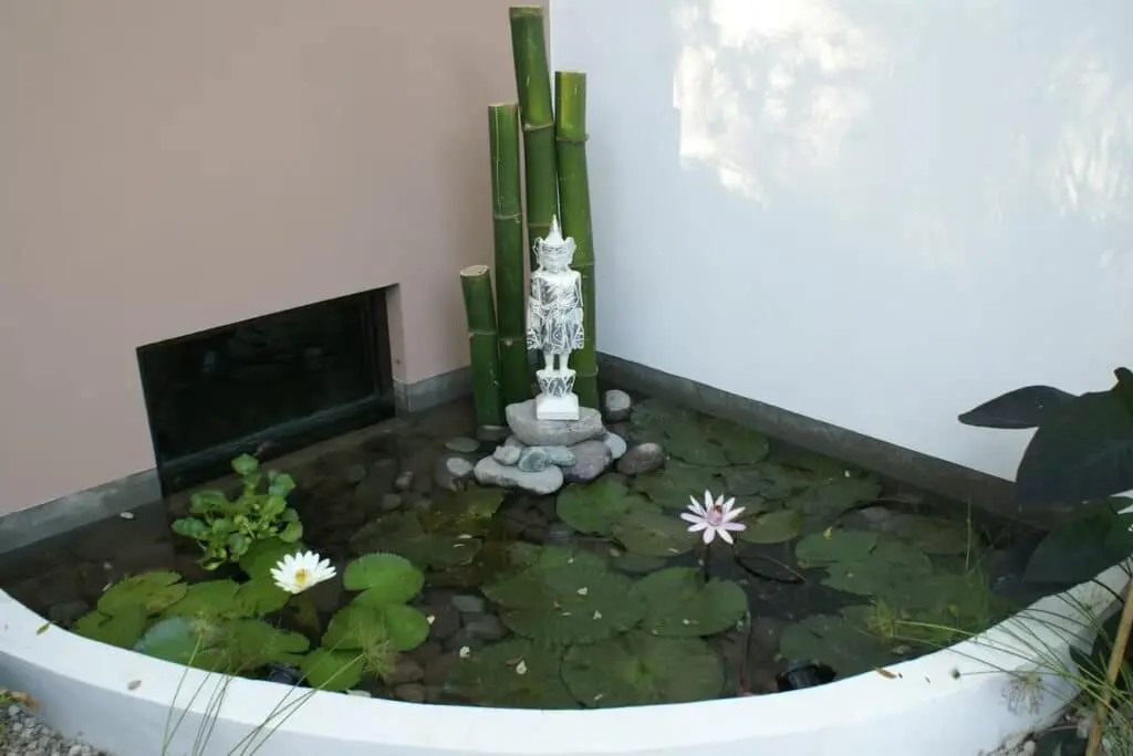Montezuma Luxury Villa photo 24