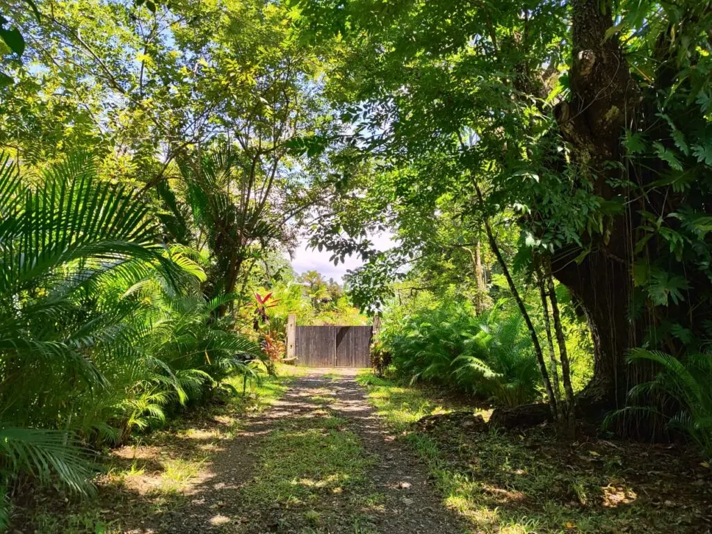 Tropical Retreat Home in Montezuma photo 2