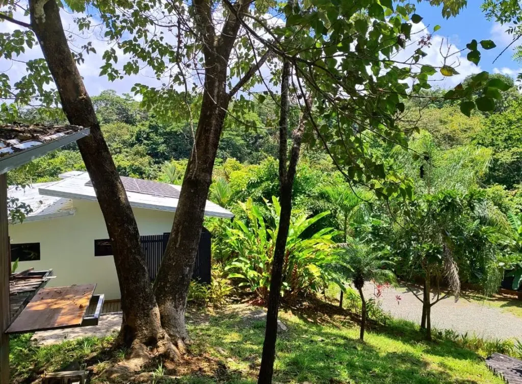 Tropical Retreat Home in Montezuma photo 27