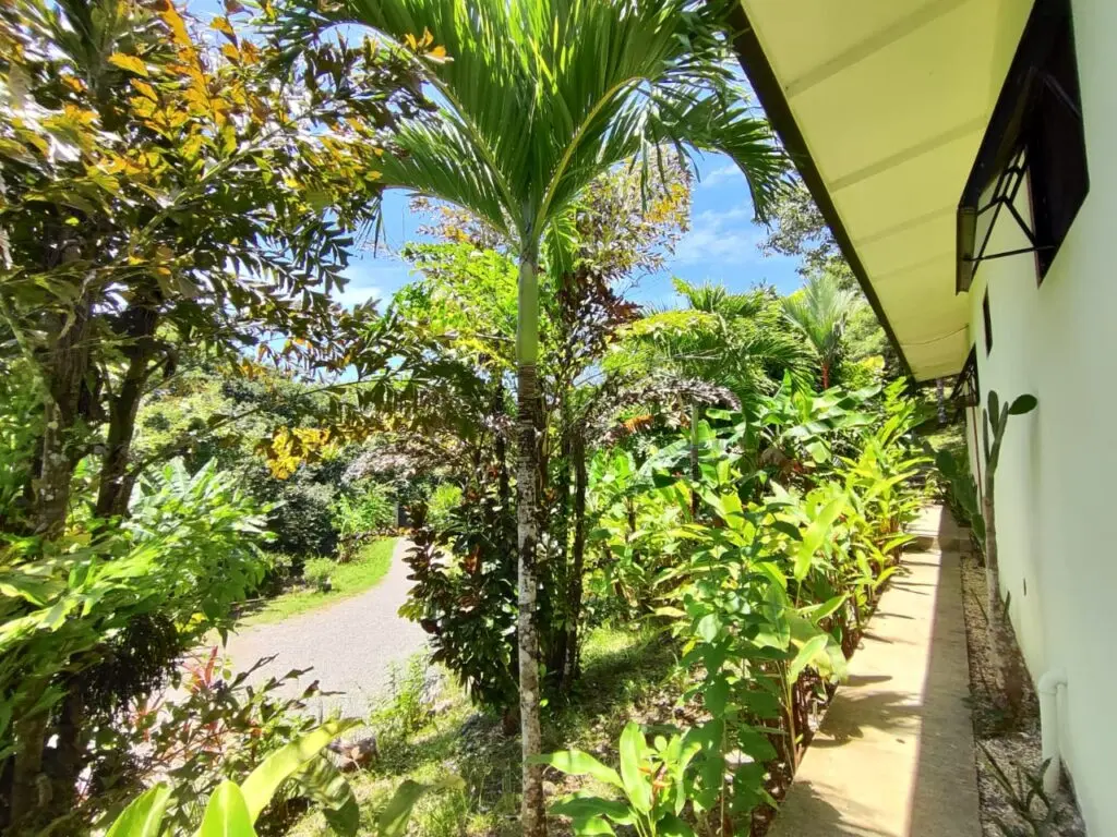 Tropical Retreat Home in Montezuma photo 4