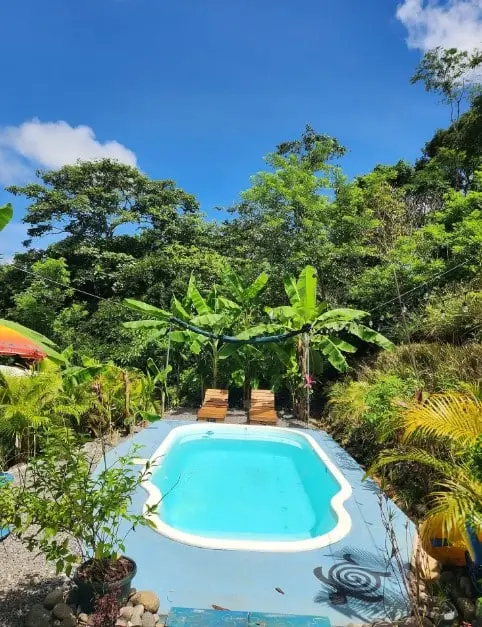 Jungle Oasis Casitas in Montezuma photo 11