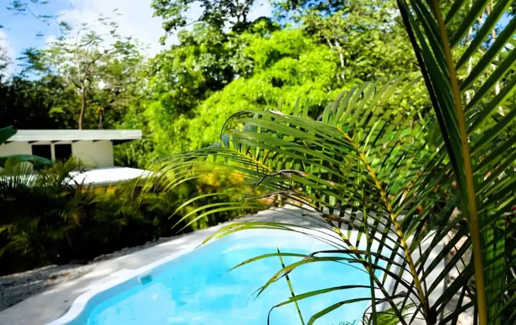 Jungle Oasis Casitas in Montezuma photo 12