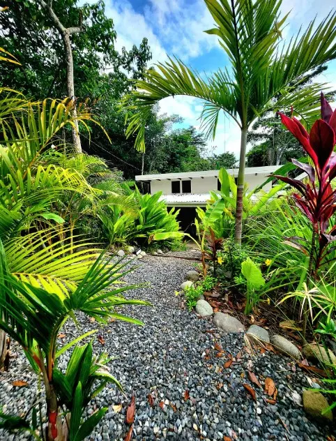 Jungle Oasis Casitas in Montezuma photo 15