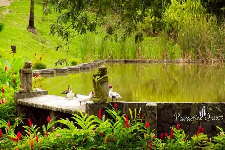 Luxury Nature Retreat in Costa Rica photo 3