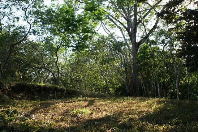 Delicias Tranquil Lot photo 6