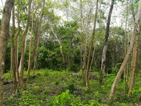 Delicias Tranquil Lot in Delicias, Costa Rica