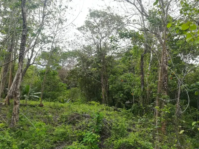 Delicias Tranquil Lot photo 3