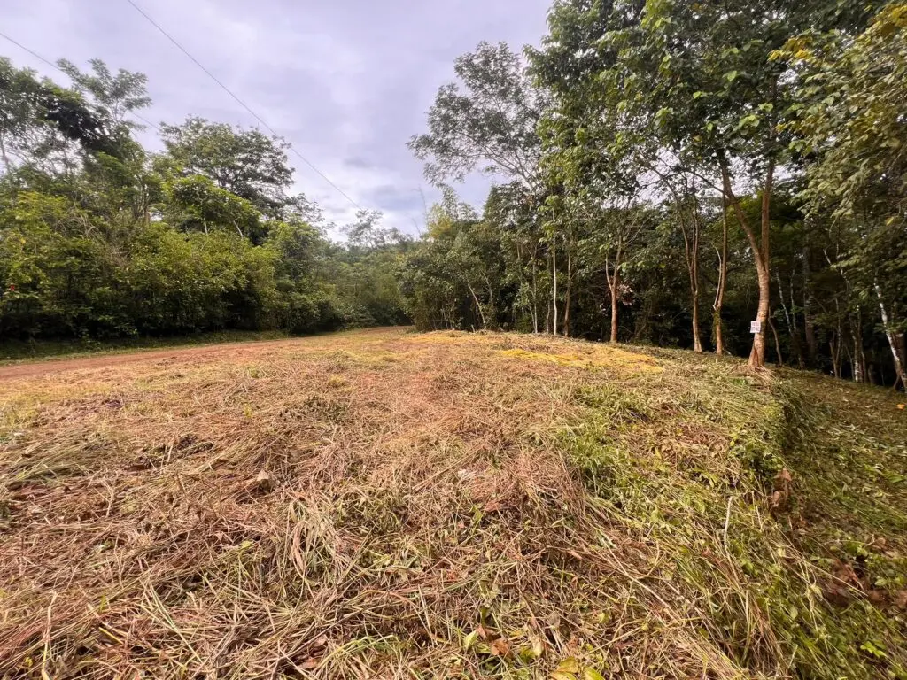 Delicias Tranquil Lot photo 11
