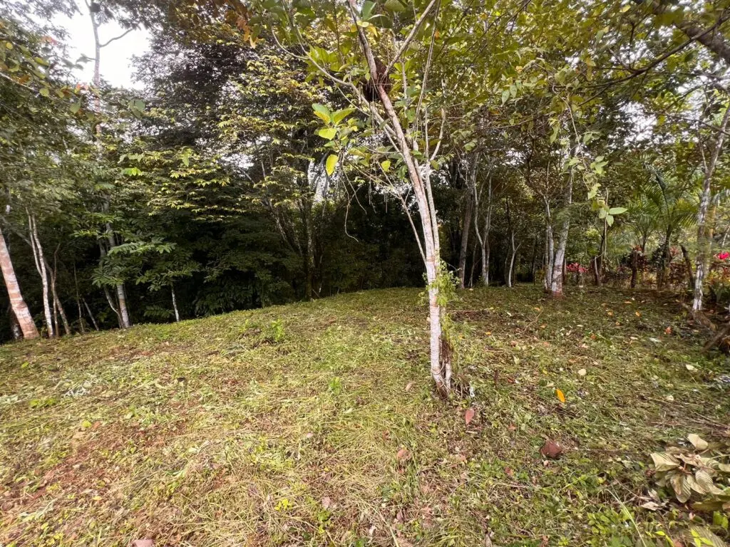 Delicias Tranquil Lot photo 10