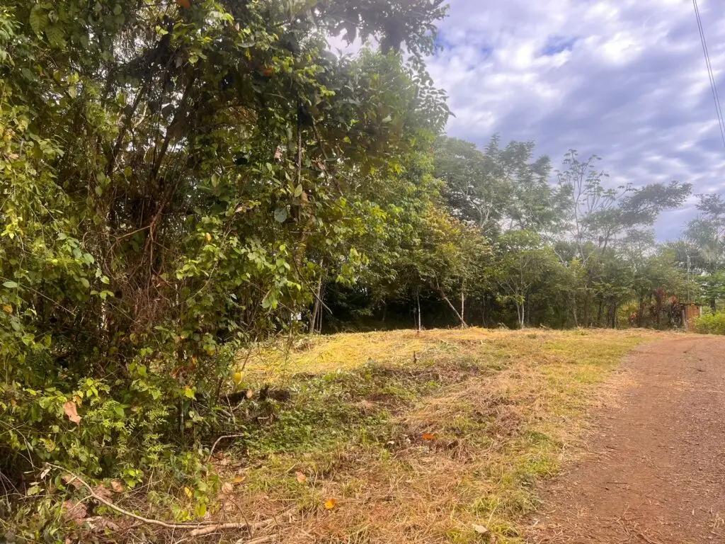 Delicias Tranquil Lot photo 12