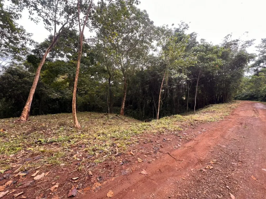 Delicias Tranquil Lot photo 14