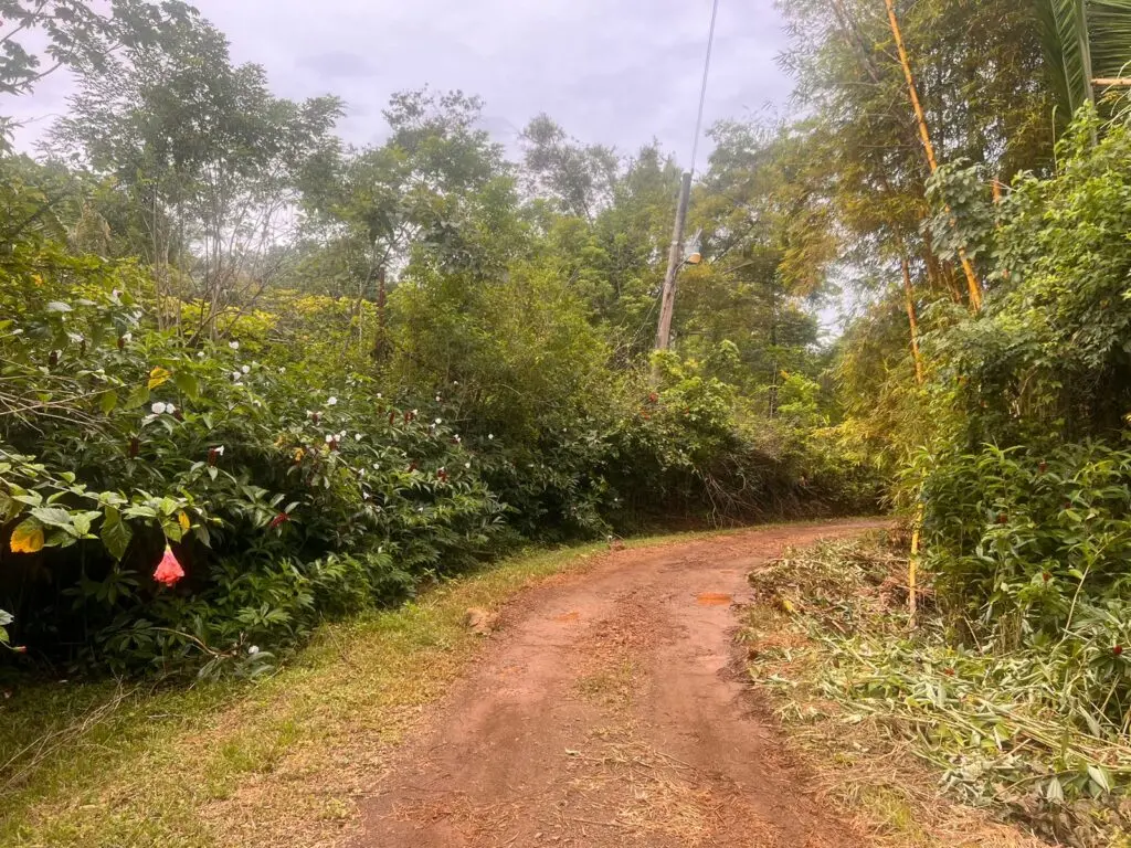 Delicias Tranquil Lot photo 16