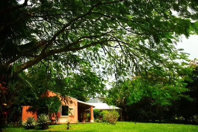 Charming Mountain Home in Montezuma photo 1