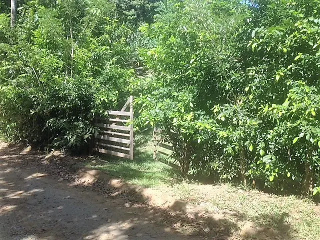 Lot Río Blanco: Scenic Riverfront Property photo 6