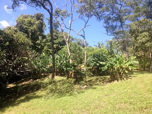 Lot Río Blanco: Scenic Riverfront Property photo 2
