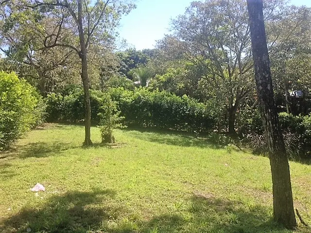 Lot Río Blanco: Scenic Riverfront Property photo 3