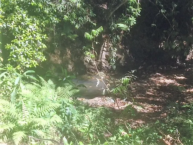 Lot Río Blanco: Scenic Riverfront Property photo 10