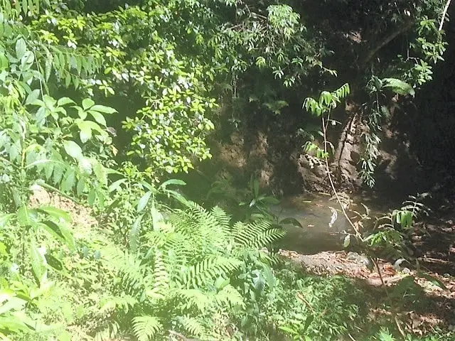 Lot Río Blanco: Scenic Riverfront Property photo 11