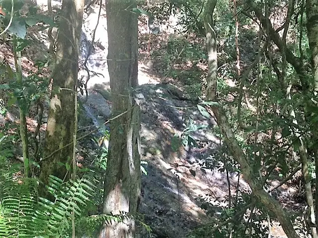 Lot Río Blanco: Scenic Riverfront Property photo 8