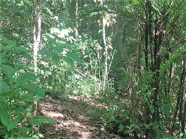 Lot Río Blanco: Scenic Riverfront Property photo 12