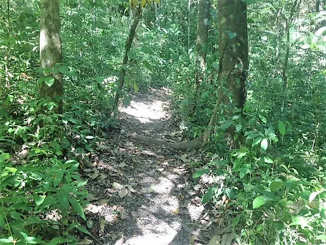 Lot Río Blanco: Scenic Riverfront Property photo 13